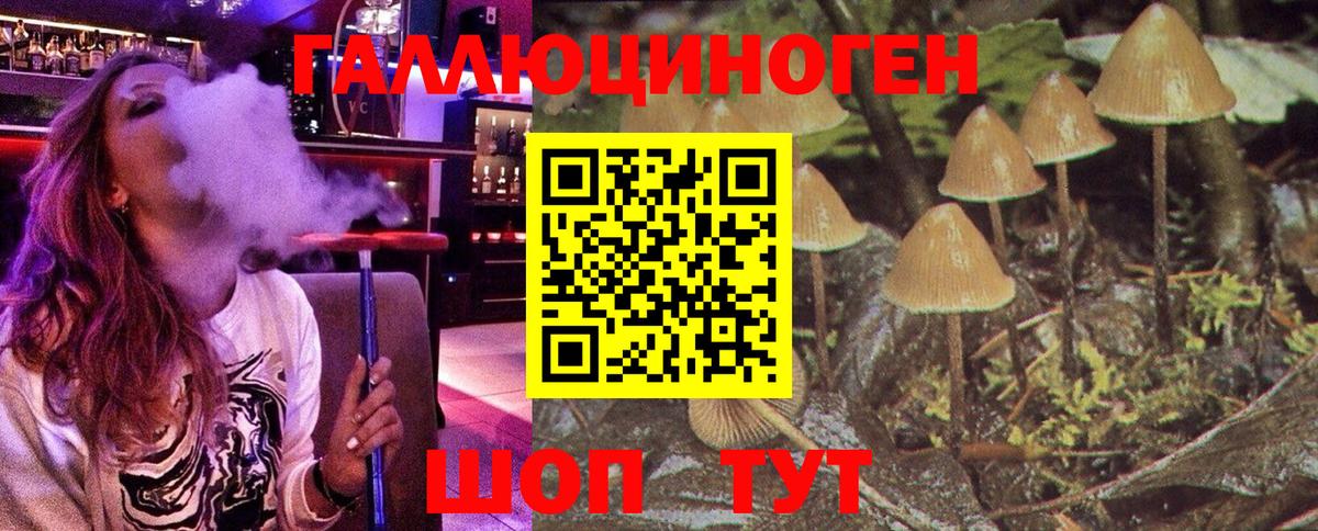 Галлюциногенные грибы Psilocybe  Псилоцибиновые грибы MAGIC MUSHROOMS  Балаково  Вход с VPN 
