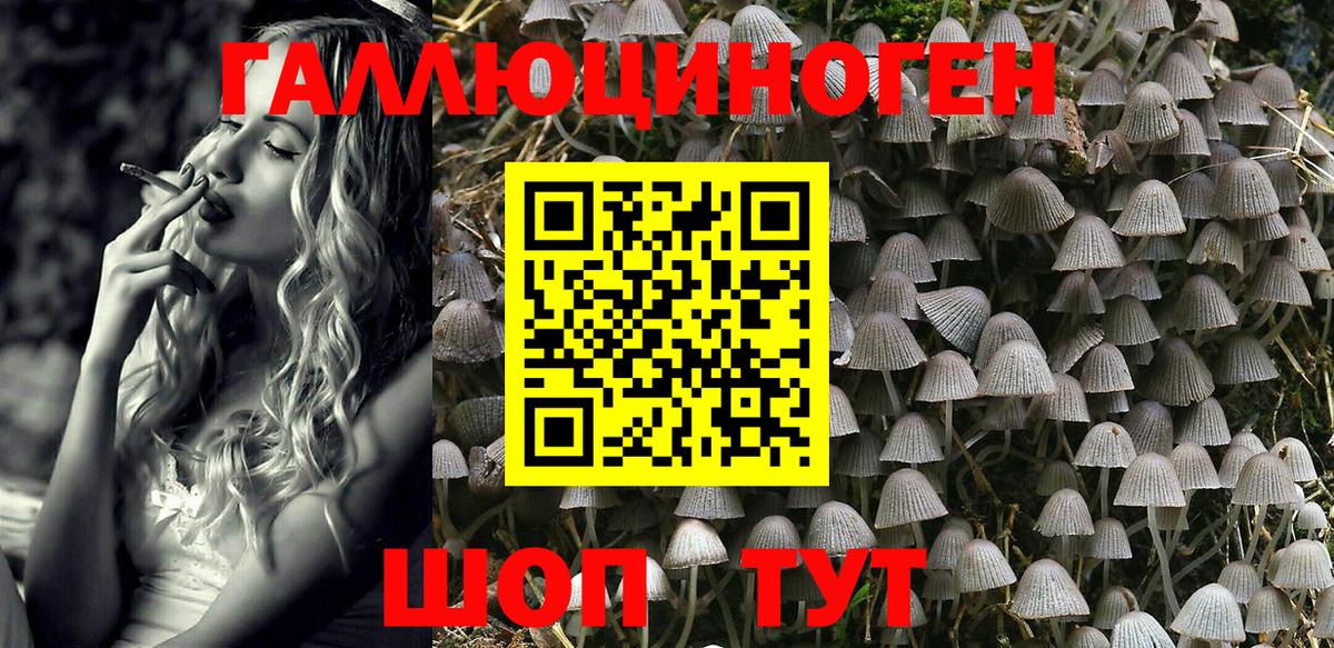 Галлюциногенные грибы Cubensis Балаково